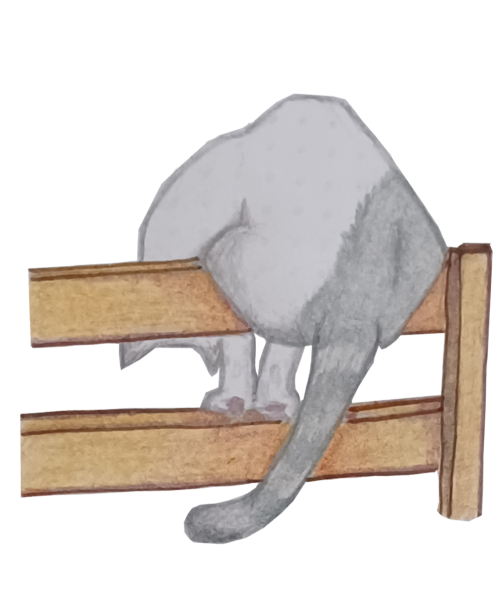 artwork drawn and colored by the site owner; this one is a cat perched on a wood slat fence